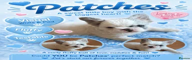 Patches
