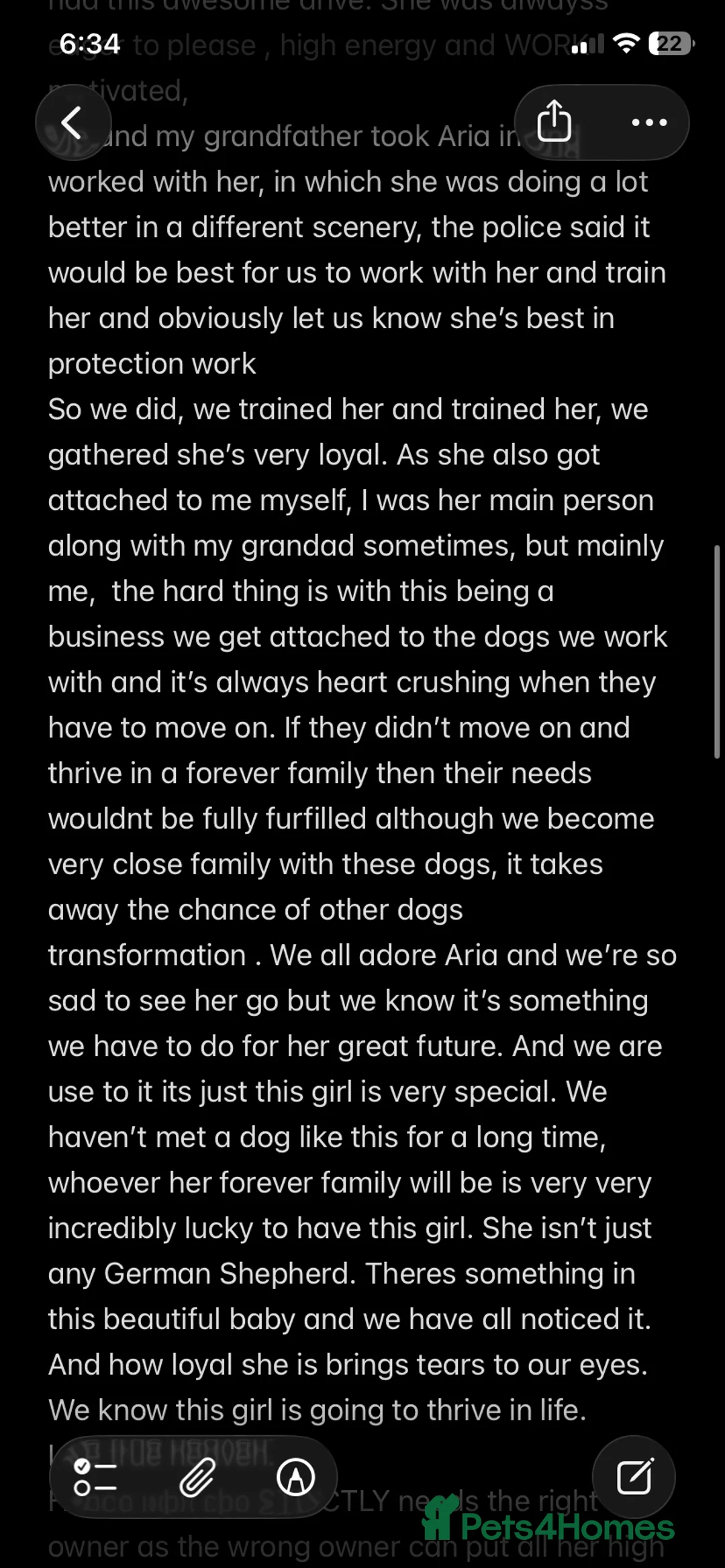 German Shepherd dogs for sale: HIGHprotection - performance ex police GSD  - Advert 5