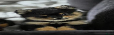 Karen