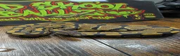 Snake reptiles for sale: Gravel het desert ghost  - Advert 1