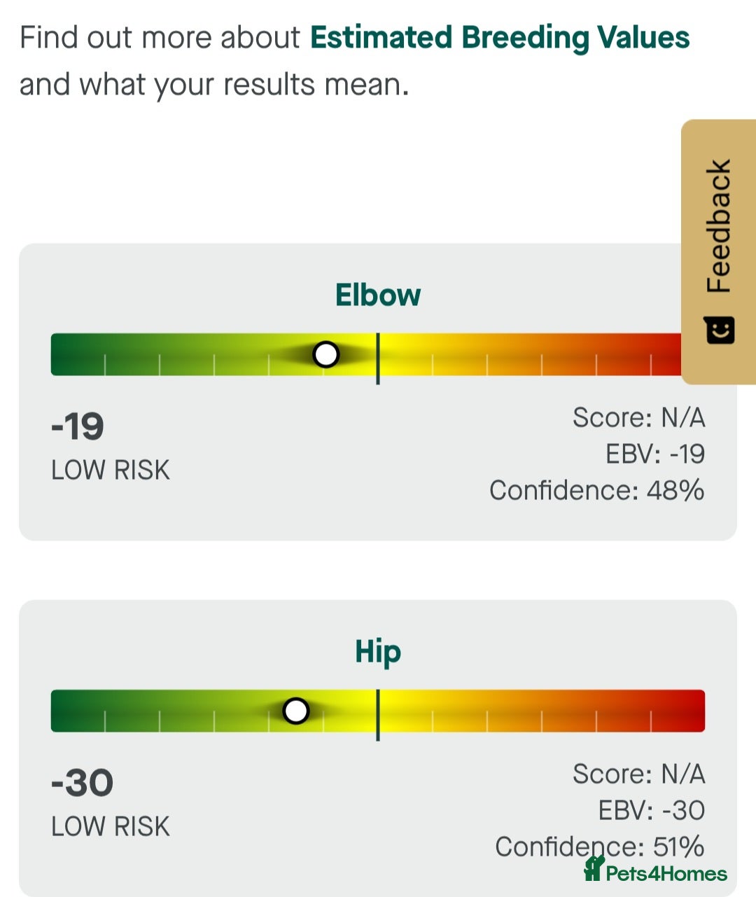Labrador Retriever dogs for sale: KCReg FoxRed LabradorRetriver Puppies WorkingLines - Advert 13
