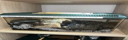 Tarantulas invertebrates for sale: 13 tarantulas and enclosures  in Manchester - Advert 15