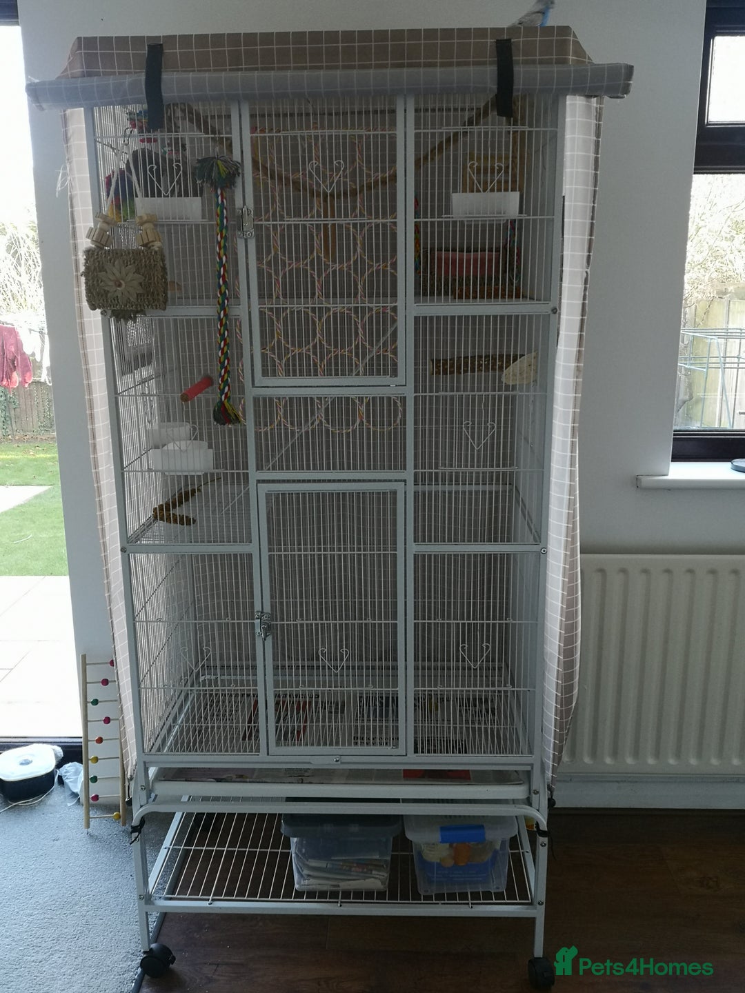 Budgerigars birds for sale: Budgerigars - one female one male - Advert 7