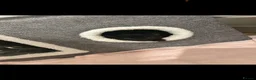 British Shorthair cats for sale: 3 Kittens For Sale Ready Now  - Advert 9