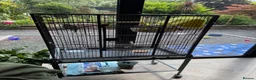 Budgerigars birds for sale: Budgies pair and full setup in Wakefield - Advert 3