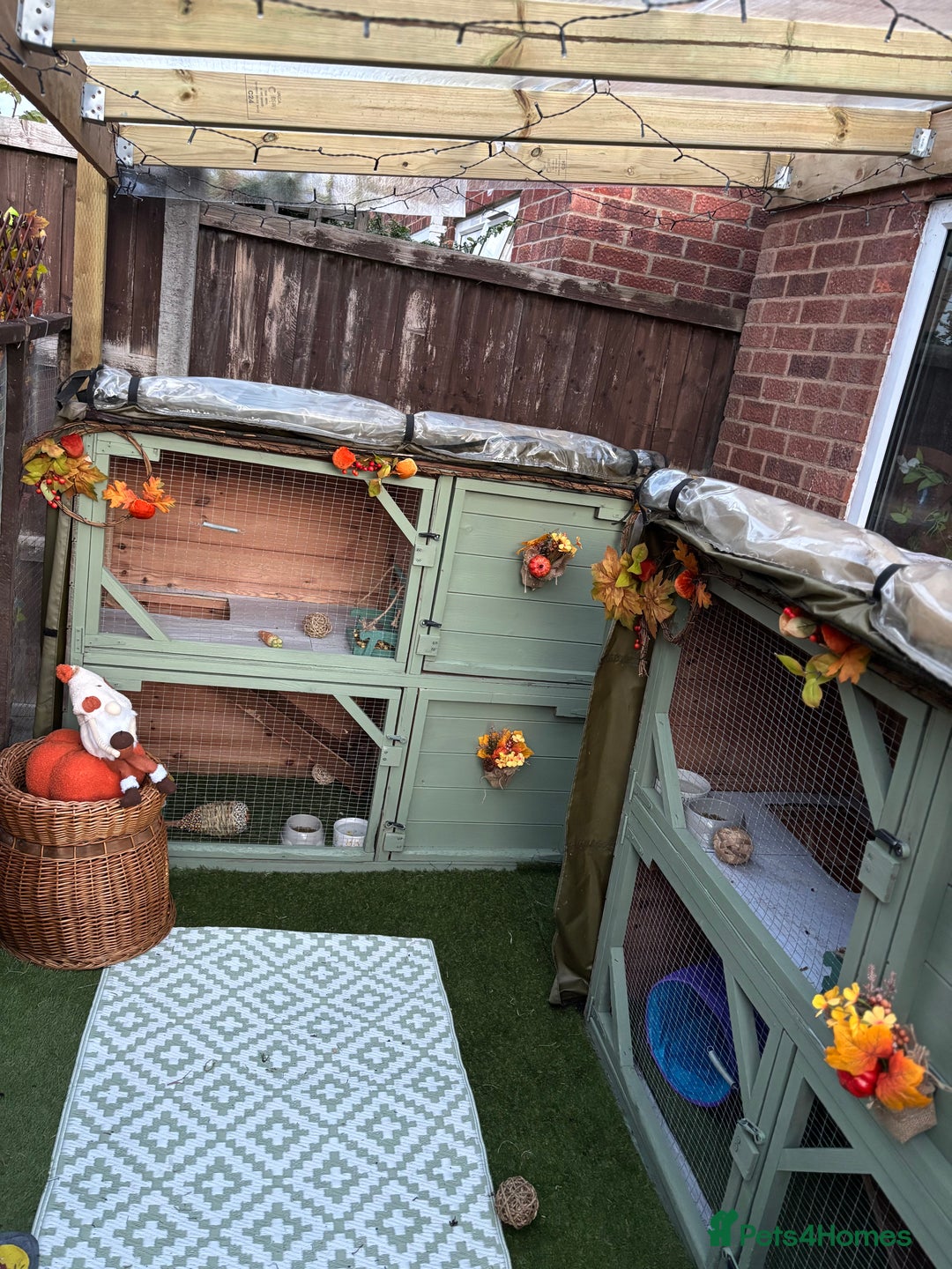 Gallery Image {{count}}