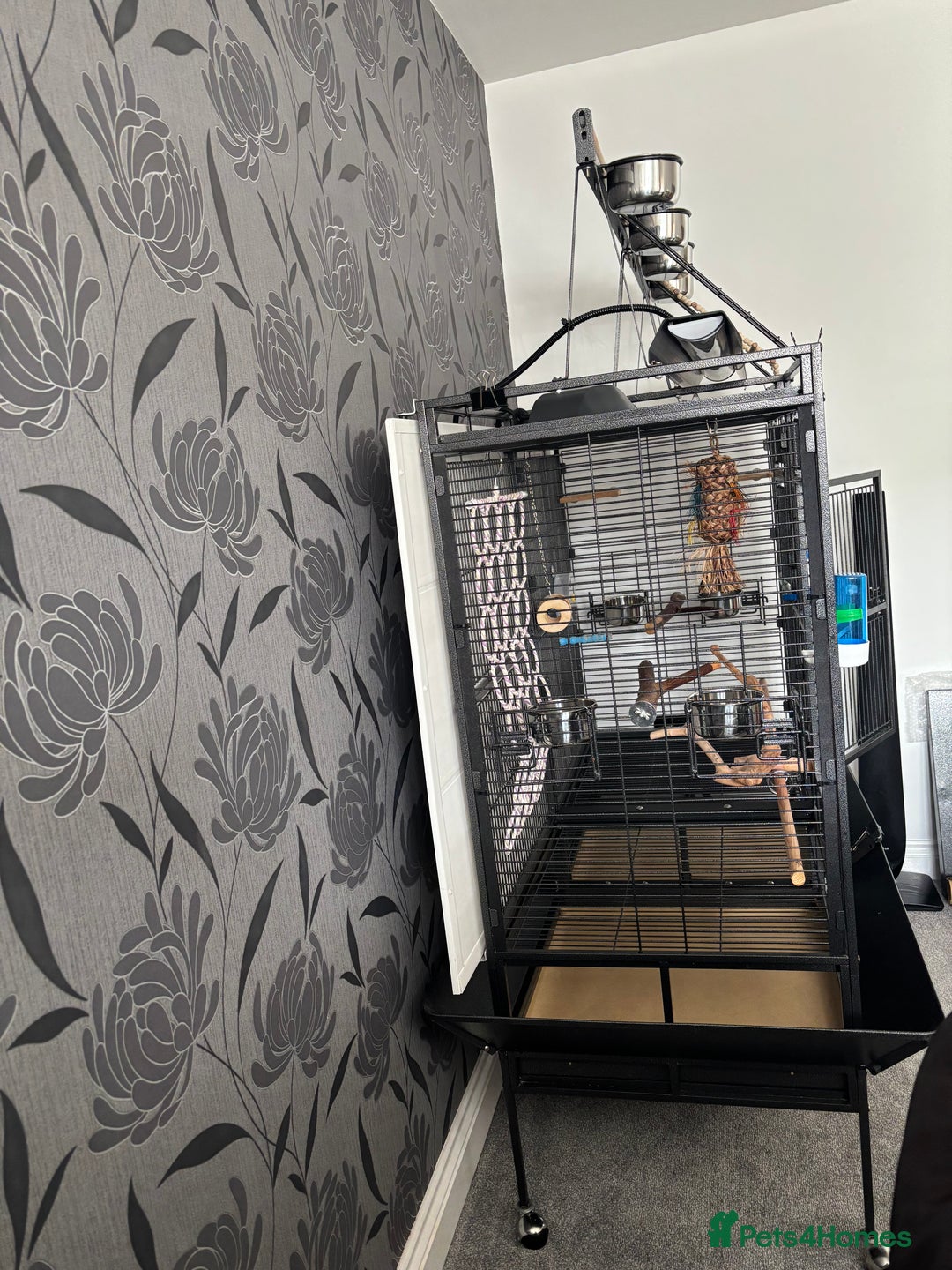 Parrots birds for sale: Large Parrot Cage - Image 2