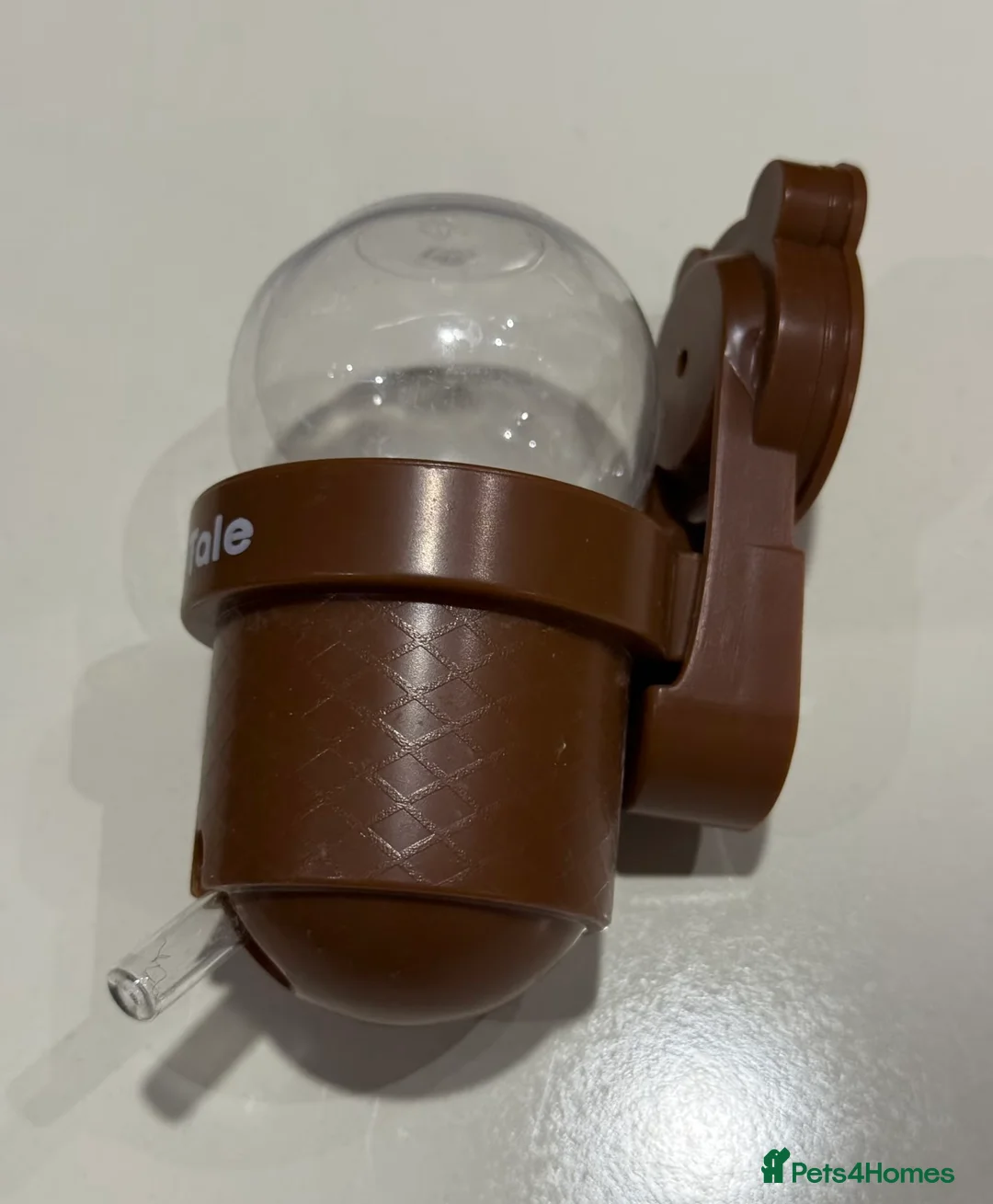 Hamster rodents for sale: Syrian Hamster Full Deluxe Setup - Advert 4
