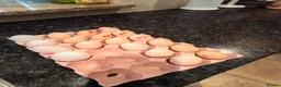 Chickens poultry for sale: 3 beautiful female silkies  - Advert 5