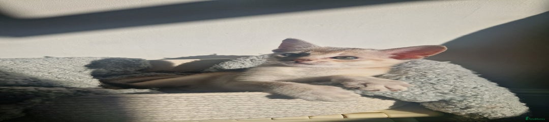 Ben