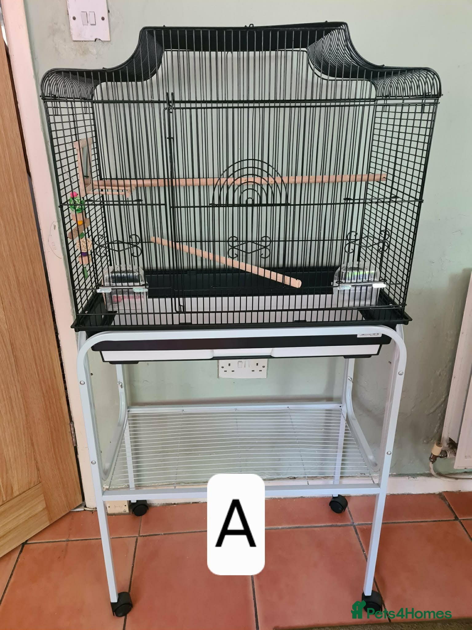 Budgerigars birds Bird Cages - Advert 8
