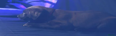 Nina