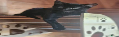 Boy 2