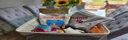 Cavalier King Charles Spaniel dogs for sale: Beautiful KC Reg Health Tested Cavalier Puppies - Advert 18