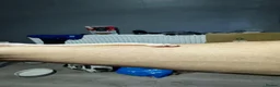 Corn Snake reptiles for sale: Albino Baby Corn Snake with Full Setup - Advert 4
