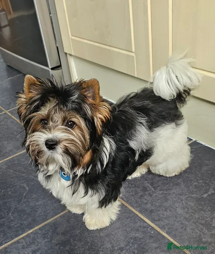 Gallery Image {{count}}