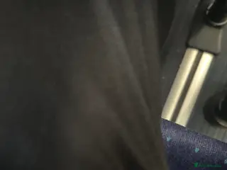 American Bobtail cats Nnnnn - Advert 4