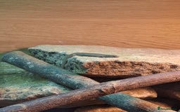 Skink reptiles for sale: 6 week old Ocellated skinks - Image 6