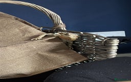 Bearded Dragon reptiles for sale: Female bearded dragon - Image 1