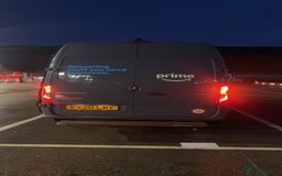 Mixed Breed cats for sale: Mixed breed cat  - Image 4