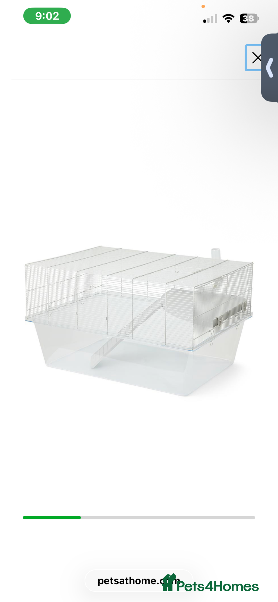 Gerbil rodents for sale: 2 female gerbils for sale - Advert 3