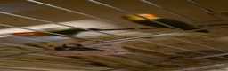 Budgerigars birds for sale: 3 Budgies & Lovebird Pair for Sale – 1 Year Old  - Advert 4