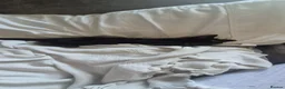 Bengal cats for sale: Cross bengal kittens £100 - Advert 2
