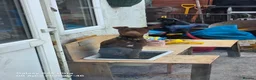 Patterdale Terrier dogs for sale: Bear the Patterdale  in Dukinfield - Advert 4