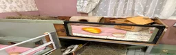 Guinea Pig rodents for sale: Guinea pig boarding in Herne bay - Advert 9