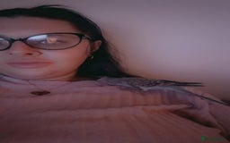 Siberian Husky dogs for sale: Siberian husky  - Advert 4