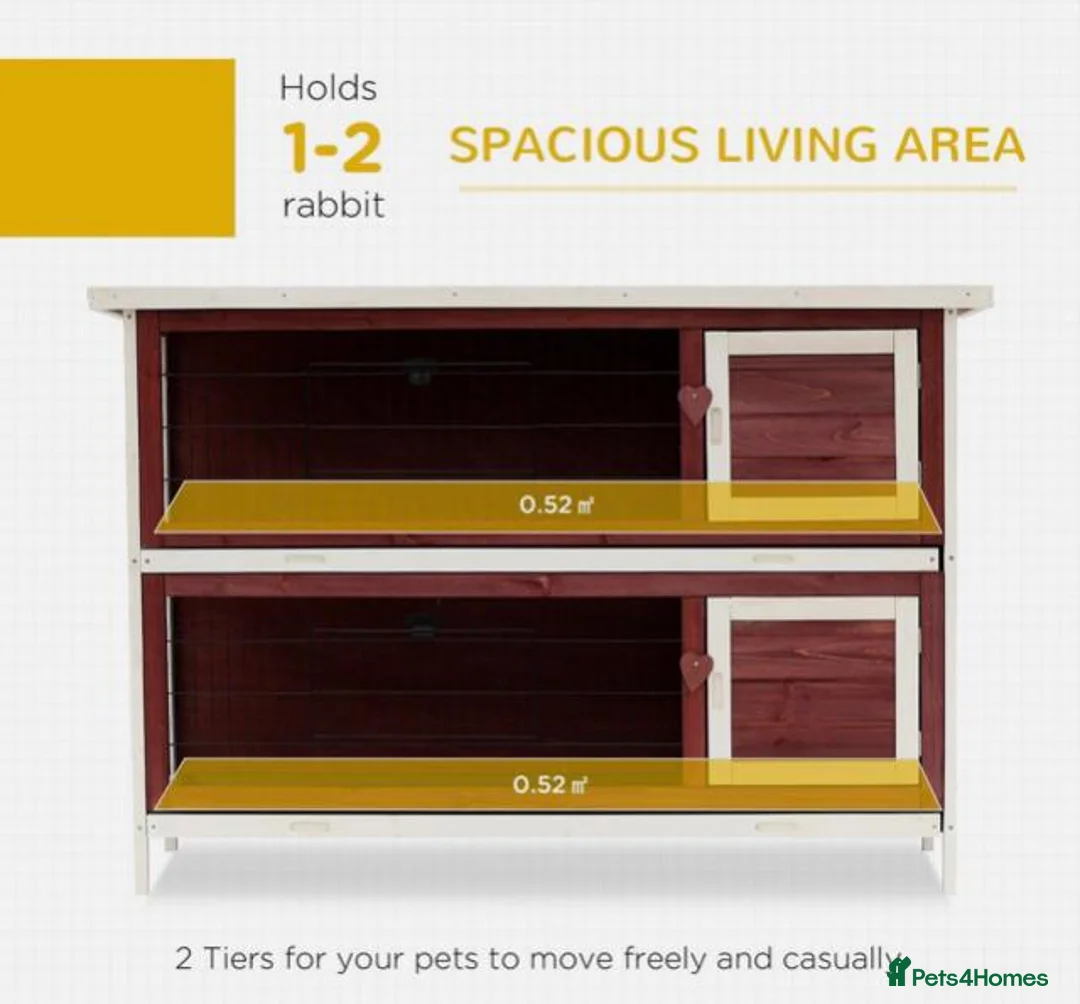Quail poultry for sale: ANIMAL HUTCH ! - Advert 2