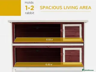 Quail poultry ANIMAL HUTCH ! - Advert 3