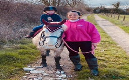 Riding pony horses for sale: For Sale Kids Lead Rein Pony! Safe and Bombproof - Advert 6