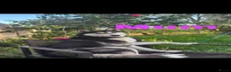 Siberian Husky dogs for sale: Beautiful Siberian husky puppies in Wigan - Advert 1