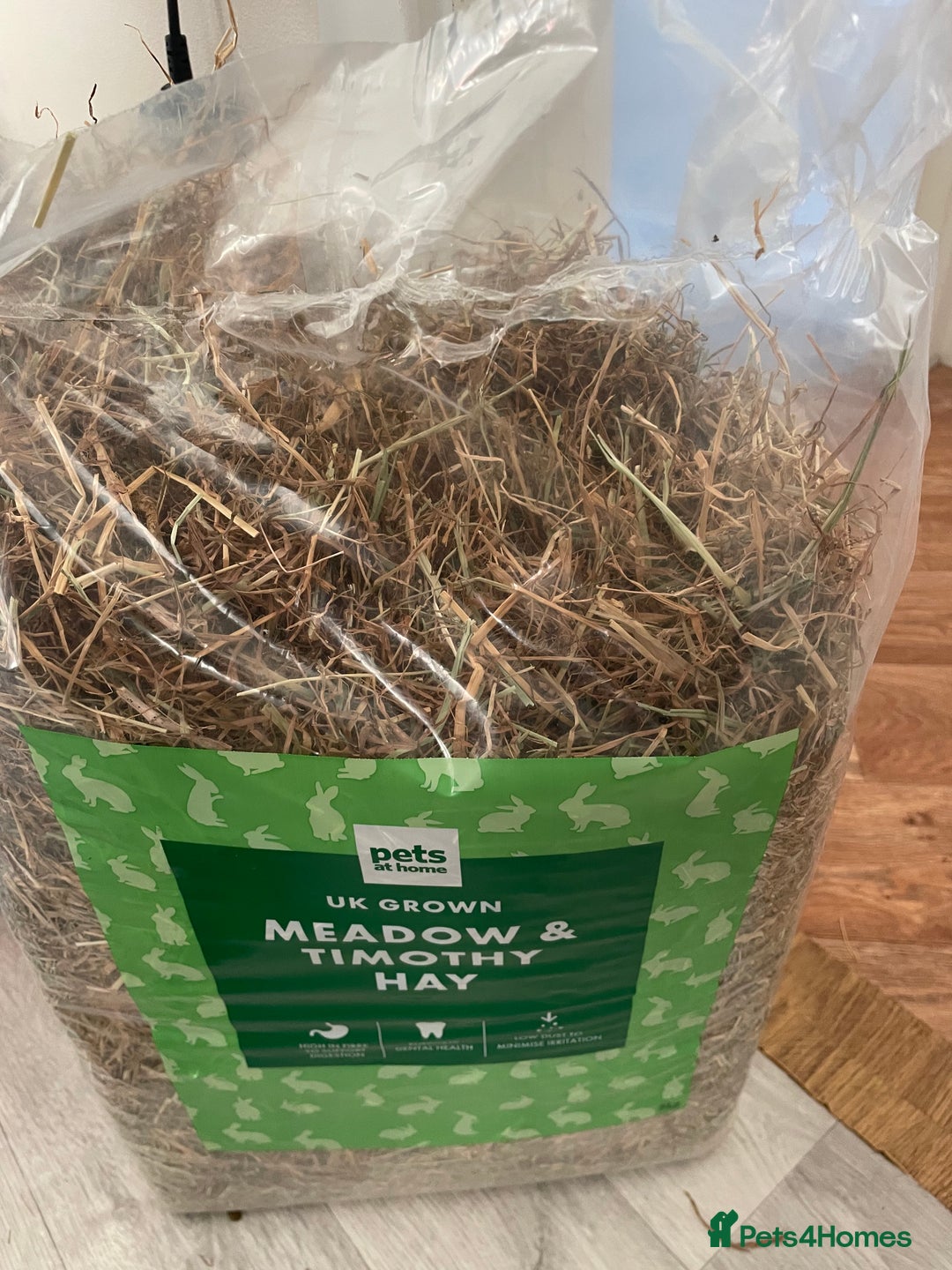 Guinea Pig rodents for sale: 3 male guinea pigs 8 months with everything includ - Advert 8