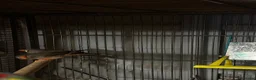 Finches birds for sale: 6 beautiful finches two proven pairs ,two female - Advert 12
