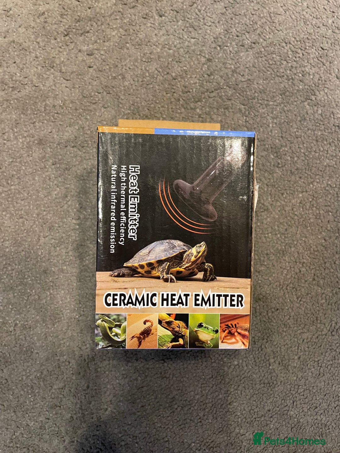 Gecko reptiles for sale: Crested Gecko, full set up, ready to go. - Advert 8