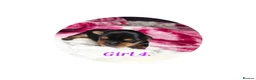 Yorkshire Terrier dogs for sale: 💕Yorkshire Terrier puppies.💕 - Advert 16