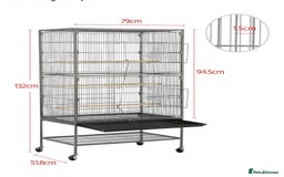 Budgerigars birds for sale: Bonded pair of budgies 7 months old, XL cage - Image 4