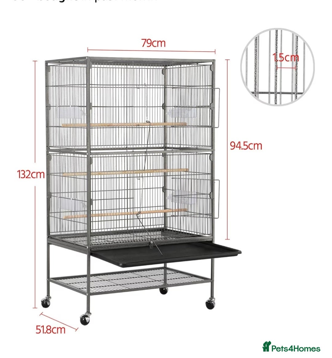 Budgerigars birds for sale: Bonded pair of budgies 7 months old, XL cage - Image 4