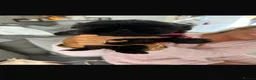 Shih Tzu dogs for sale: Shihtzu babies - Advert 11