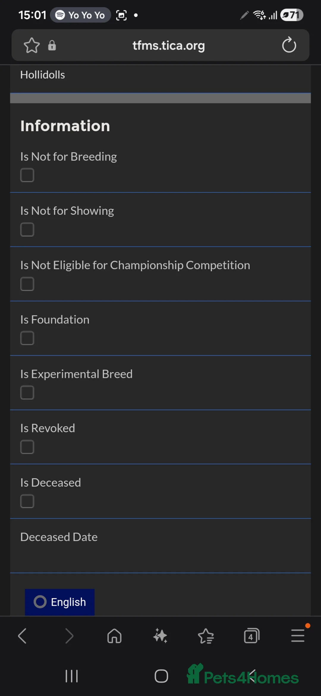 Ragdoll cats for sale: TICA ACTIVE FEMALE BI COLOUR RAGDOLL - Advert 2