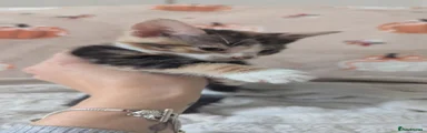 Female 2