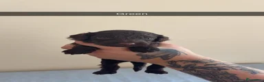 Cockapoo 1