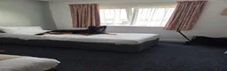 German Shepherd dogs for sale: Chas is looking for his forever home in Halesworth - Advert 12