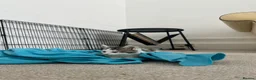 Mixed Breed cats for sale: 5 Beautiful kittens  - Advert 6