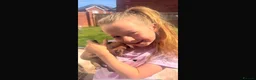 Staffordshire Bull Terrier dogs for sale: RED perfect chunky Staffy puppies in Grimsby - Advert 3