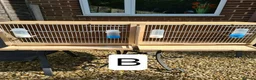 Budgerigars birds for sale: Bird Cages - Advert 3