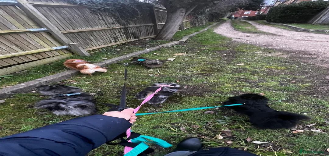 Gallery Image {{count}}