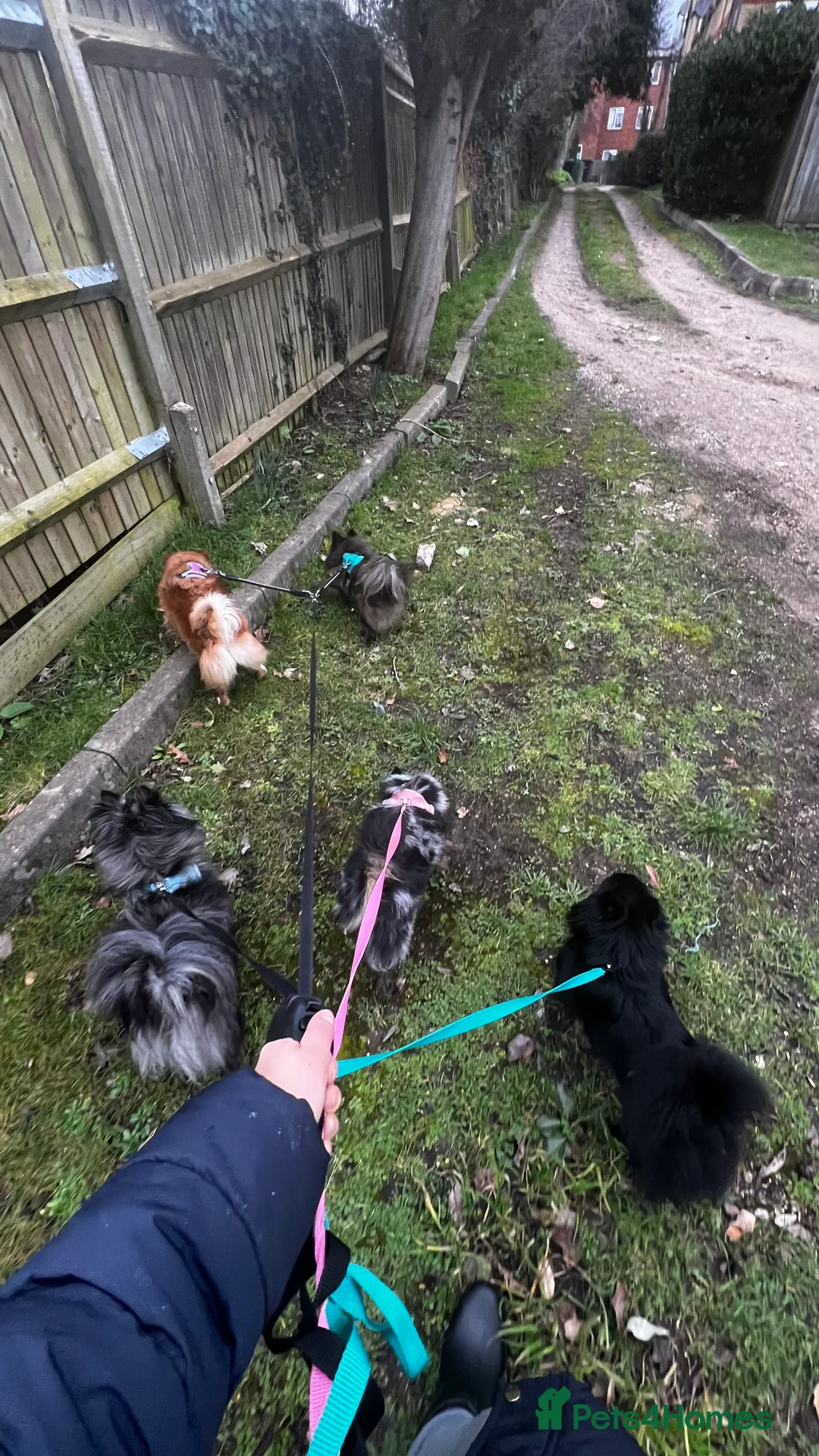 Gallery Image {{count}}